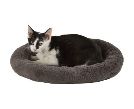 Warming Bolster Round Cat Bed