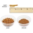 Nutrition Live Mealworms