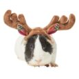 Holiday Antlers Guinea Pig Headpiece