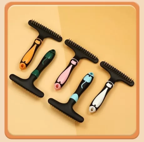 ?????????????????????????? ????????????? ???????????????????????????????????