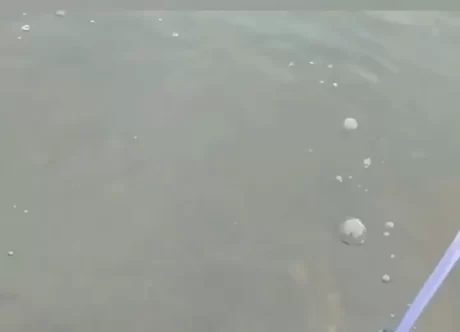 Oxygen Ring ?????????????????? ????????? ???????????????8mm ??????? ???????????? ?????????????