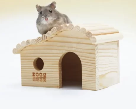 Forest Wooden House By ZooG ????????????????????????????????????????????????????????