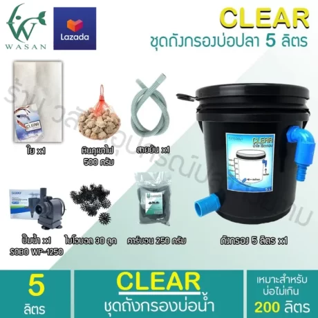 ????????????? ???? 5 ???? ????????????????? (??????????) BY ??????????????????????