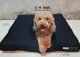 Dog bed with cover