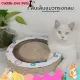 Cat Scratcher secret nail pad Cat Rain nail cat secret nail cat plover secret nail cat ???? at cat nail rain resistant secret nail pad cat cheap with wholesale price🎉😽
