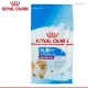 Royal Canin Mini Indoor Puppy 500g. ลูกสุนัขพันธุ์เล็ก อาศัยในบ้าน 500g.