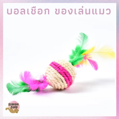 BJ Pet - ??????????? ????????? ?????????? ???????? ????????????????? ?????????