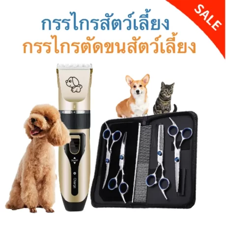 ?Ready to ship?Pet hair clippers pet scissors dog scissors cat scissors dog grooming scissors dog trimmer