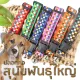 Dog collar, checkered pattern, for Thai breed dogs, size L