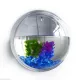 [COD&Free shipping on any 3 items]Transparent Fish Bowl Tank 3D Acrylic Wall Mount Hanging Aquarium Goldfish Hanger Plant Sticker Decor 15x15CM