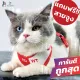 ชุดแมว ชุดหมา สายรัดอกแมว สายรัดอกสุนัข เสื้อหมา เสื้อสุนัข เสื้อแมว สายจูงสุนัข สายจูงแมว ji pets collar