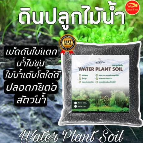????????????? Water Plant Soil Medifish ?????????? ????????? ??????????????????!!