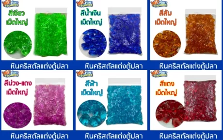 ??????? ??????????????? ????????? ??????