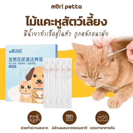 Mori Petta earpick pet medicine in body spinning cotton pad Pet ear Wood spinning ear cat