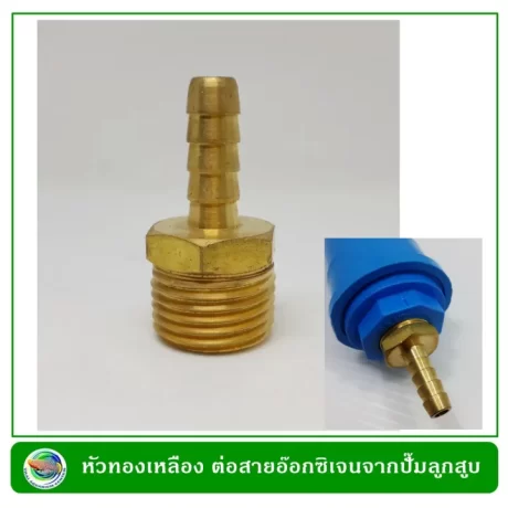 ???????????? ???????????????????? ???? 2 ???????? ????????????? ???? ACO ????????????????????????????????????? ????????????