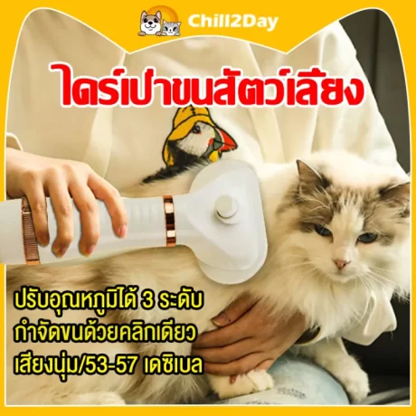 ???????????????????? ????????????????????? ??????????????2 in 1 ??????????? ????????????? ???????????? ?????????????? ??????? 3 ????? ???????????????????? ??????????????????