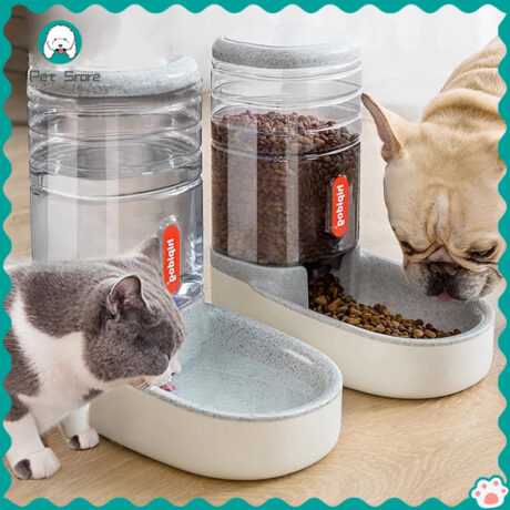 ?????????????????????? ????????????? ??? ?????????????????? ??????????? ??????????????? ????????? ?????? ?????? ???????????