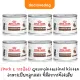 (Pack 6 กระป๋อง) gastrointestinal kitten(195กรัม)อาหารลูกแมวท้องเสียแบบกระป๋อง