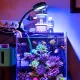 Seawater Coral Light Led Fish Tank Lighting Accumulate Light Algae Tank Light Led Aquatic Clip Light Full Spectrum Fill