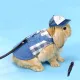 Sha Pet Rabbit Clothes Denim Jacket Coat Small Animal Harness Leash Vest Bag Hat Set