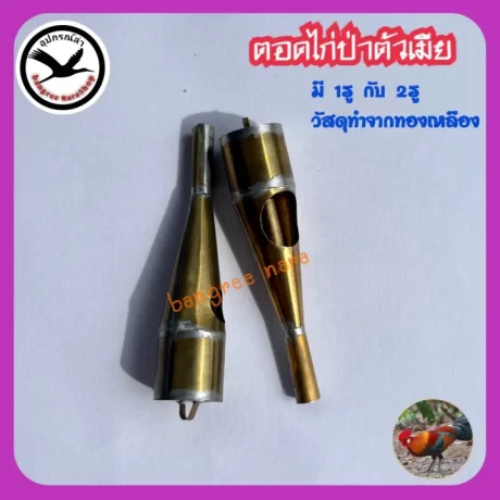 ????????????? ?????????????? ???????????? ?????????? ???????????? ????????? ?????????? ???2?? ?????? ????????? ???