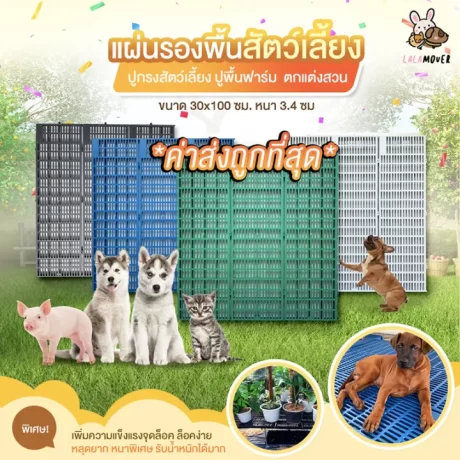 Pets Plastic Pad / Dog Cage Foot Pad /