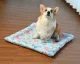 Deemar cool gel pad, cool mattress, cool gel mattress cooling pad Pet bed for dogs and cats Coolbed13