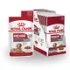 [ยกกล่อง] Royal Canin Medium Ageing 10+ สำหรับสุนัขสูงวัย พันธุ์กลาง อายุ 10 ปีขึ้นไป นน.โตเต็มวัย 11-25กก (x10ซอง)