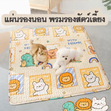 HOOPET 🐶????????🐱 ?????????? ????????????????? ???????? ?????????????????????? ???????????????