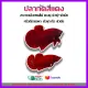 ปลากัด SUPER RED สีแดง (มีตัวเลือก เพศผู้/เพศเมีย และแบบคู่ ผู้+เมีย กรุณาอ่านก่อนกดสั่งซื้อ)*** มีเก็บเงินปลายทาง ***