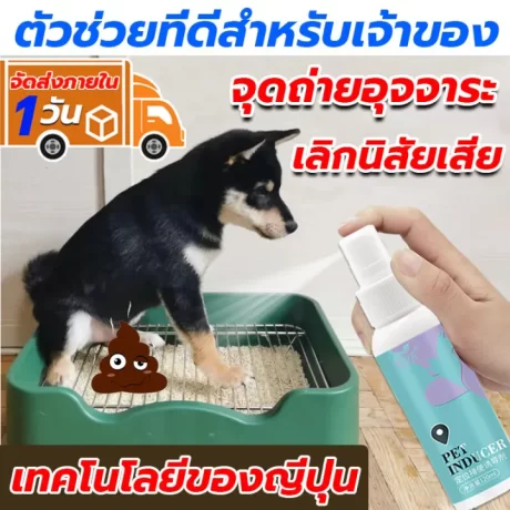 ?????? ????????????????????????? ????????????????? 120ML ??????????????????? ?????????????? ????????????? ???????????? ??????????????? ???????????? ??????????????? ???????????????? ??????????????????? ????????????????????? ?????????????? ?????????