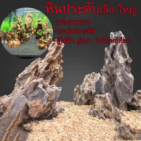 ????????? ?????????????????? ????????? ????????? ????????????? ?????????????????????? ?????? ?????