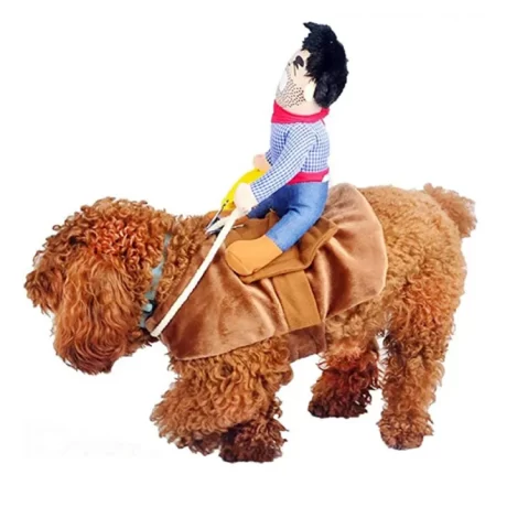 ???????? ???????? ?????? ?????? ?????????????? ?????????????? ?????? ????????????????????????? ??????? Cowboy Papyy