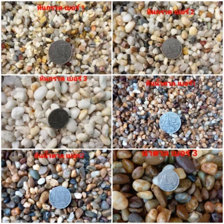 ??????????????? ????????? ????????????