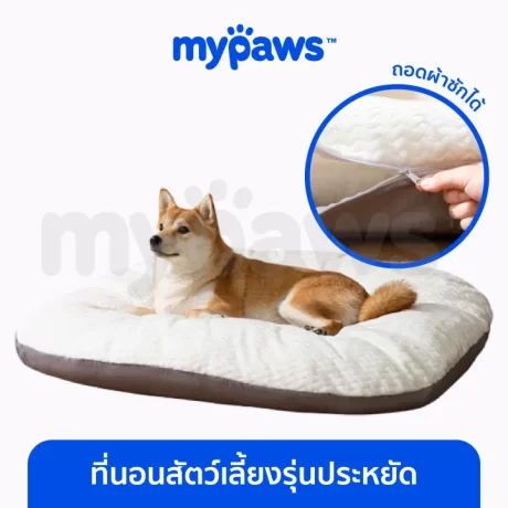 My Paws ????????????????? ??????? ???????????? ?????????????????