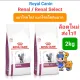 Royal Canin Renal / Renal Select ??? cat 2kg ???????? ??????????? ?????????????? ?????????? ?????????? ???? 2 ????????