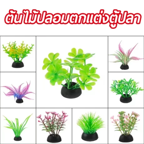 ??????????????? ??????????????????? ?????????? ????????????? ???????????? ??????????????? 5 ????/ 10 ???? ???????????????