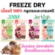 Jinny Freeze-Dried & Jerhigh Freeze-Dried ?????? ??? ??????? ?????? ??? ???????? ???????? 100% ??????? ????40????