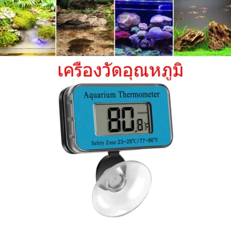 ?????????????????? ???????????????????? ?????????????? ?????????????????? LCD ??????? ?????? ????????????????? ????? 1????