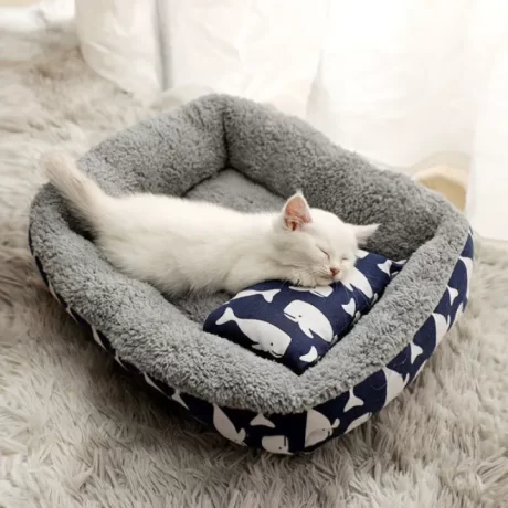 ????????????????????? ????????? ?????????? ???????? ???????? ????????????????? ????? ?????? ?????????????????** ?????????????**