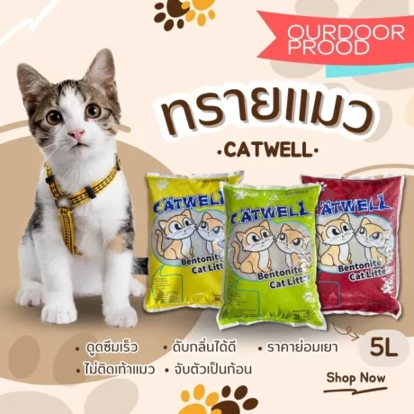 ????????????????????? PET CAT WELL ???????? ???? 5 ????