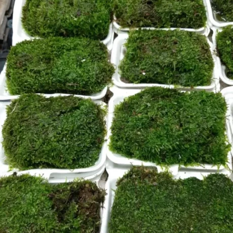 ??????????? ?????????????????????? ????????????? ????????? ?????? ?????????????? ??????????????? ????????