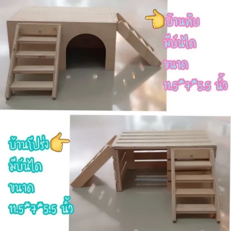 ??????????????? ?????????????? ?????? ???????? ??????????