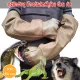 Animal Handling Anti-bite/scratch Gloves for Dog Cat Bird Snake Parrot Lizard Wild Animals Protection Gloves