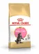 Split sale Food Cat brand Royal Canin 1 กก. Formula Maine Coon Kitten