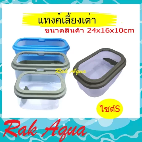 ????????? ?????????????? ??????????????? ???????? S (????? ???/?????) ????????????? ???????????????