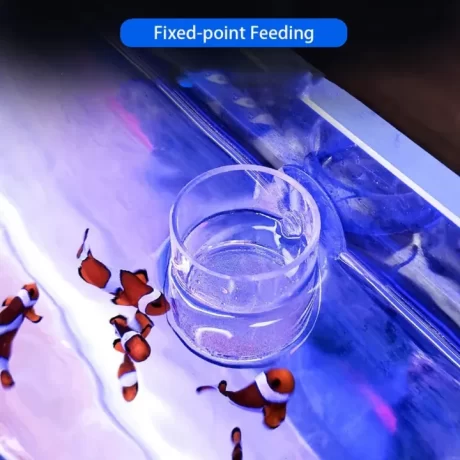Transparent Acrylic Fish Food Feeding Ring Anti-drift Feeding Cup Fish Feeder With Strong Suction Cup