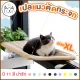 KUMA ? Cat cradle with glass XL can support weight up to 20 kg. Cat cradle, cat bed, cat cradle with window, glass, cat bed.