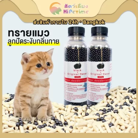 😺??????????????? ?????? ???????????????? ????????????? ??????????????????????😺