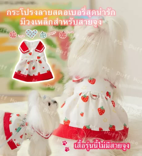 ???????????????? ?????????? ???????? ?????????????????????????????????????????????????????????? ???????????????????????????